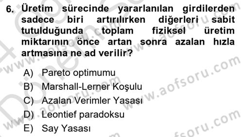 İktisadi Büyüme Dersi 2023 - 2024 Yılı (Final) Dönem Sonu Sınav Soruları 6. Soru
