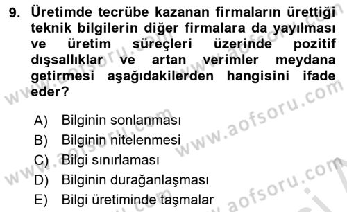 İktisadi Büyüme Dersi 2023 - 2024 Yılı (Final) Dönem Sonu Sınav Soruları 9. Soru