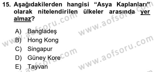İktisadi Büyüme Dersi 2023 - 2024 Yılı Yaz Okulu Sınav Soruları 15. Soru