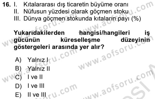 İktisadi Büyüme Dersi Yaz Okulu Sınavı Deneme Sınav Soruları 16. Soru