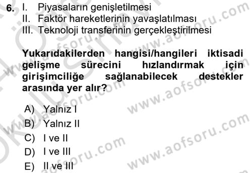 İktisadi Büyüme Dersi 2023 - 2024 Yılı Yaz Okulu Sınav Soruları 6. Soru