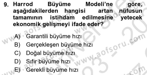 İktisadi Büyüme Dersi 2023 - 2024 Yılı Yaz Okulu Sınav Soruları 9. Soru
