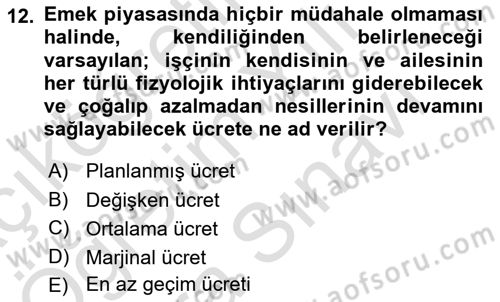 İktisadi Büyüme Dersi 2024 - 2025 Yılı (Vize) Ara Sınav Soruları 12. Soru