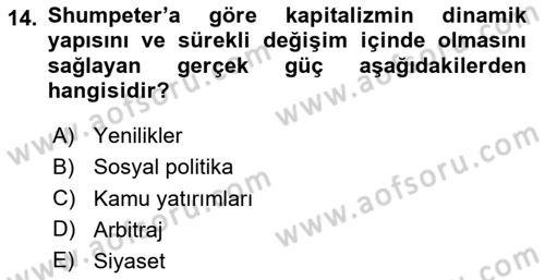 İktisadi Büyüme Dersi 2024 - 2025 Yılı (Vize) Ara Sınav Soruları 14. Soru