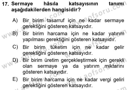 İktisadi Büyüme Dersi 2024 - 2025 Yılı (Vize) Ara Sınav Soruları 17. Soru