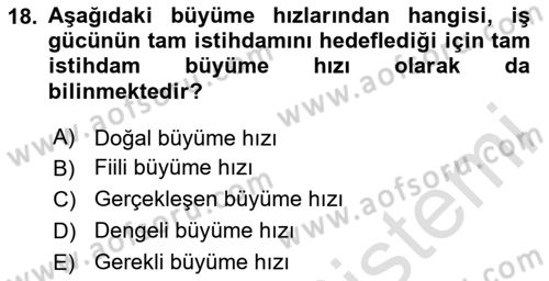 İktisadi Büyüme Dersi 2024 - 2025 Yılı (Vize) Ara Sınav Soruları 18. Soru