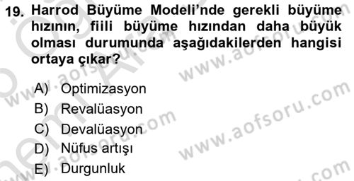 İktisadi Büyüme Dersi 2024 - 2025 Yılı (Vize) Ara Sınav Soruları 19. Soru
