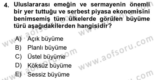 İktisadi Büyüme Dersi 2024 - 2025 Yılı (Vize) Ara Sınav Soruları 4. Soru