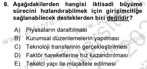 İktisadi Büyüme Dersi 2024 - 2025 Yılı (Vize) Ara Sınav Soruları 9. Soru