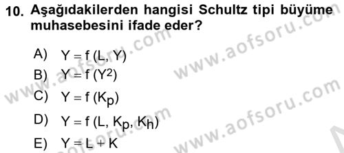 İktisadi Büyüme Dersi 2024 - 2025 Yılı (Final) Dönem Sonu Sınav Soruları 10. Soru