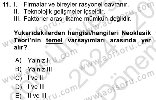 İktisadi Büyüme Dersi 2024 - 2025 Yılı (Final) Dönem Sonu Sınav Soruları 11. Soru