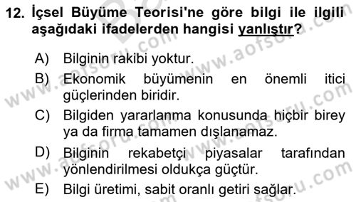 İktisadi Büyüme Dersi 2024 - 2025 Yılı (Final) Dönem Sonu Sınav Soruları 12. Soru