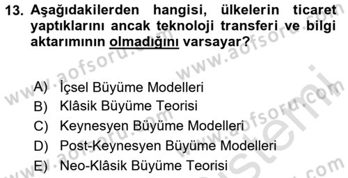 İktisadi Büyüme Dersi 2024 - 2025 Yılı (Final) Dönem Sonu Sınav Soruları 13. Soru