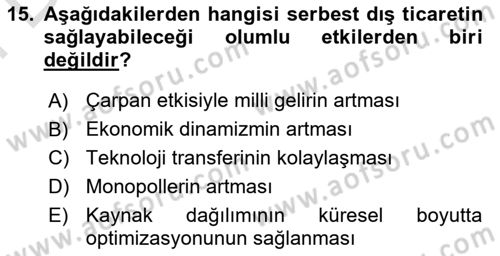 İktisadi Büyüme Dersi 2024 - 2025 Yılı (Final) Dönem Sonu Sınav Soruları 15. Soru