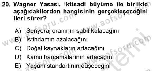 İktisadi Büyüme Dersi 2024 - 2025 Yılı (Final) Dönem Sonu Sınav Soruları 20. Soru