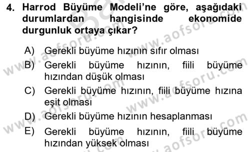 İktisadi Büyüme Dersi 2024 - 2025 Yılı (Final) Dönem Sonu Sınav Soruları 4. Soru