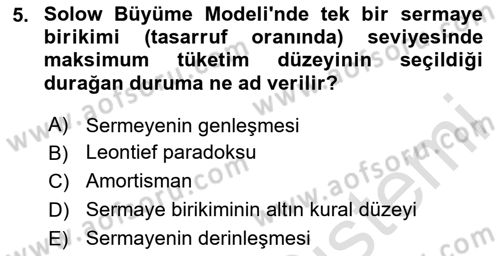 İktisadi Büyüme Dersi 2024 - 2025 Yılı (Final) Dönem Sonu Sınav Soruları 5. Soru