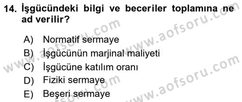 İktisadi Büyüme Dersi Yaz Okulu Sınavı Deneme Sınav Soruları 14. Soru