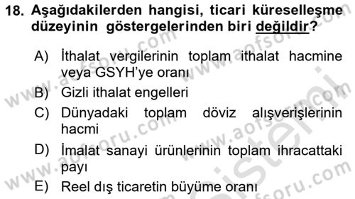İktisadi Büyüme Dersi Yaz Okulu Sınavı Deneme Sınav Soruları 18. Soru