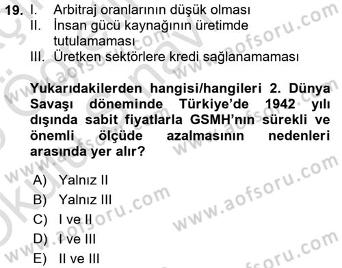 İktisadi Büyüme Dersi 2024 - 2025 Yılı Yaz Okulu Sınav Soruları 19. Soru