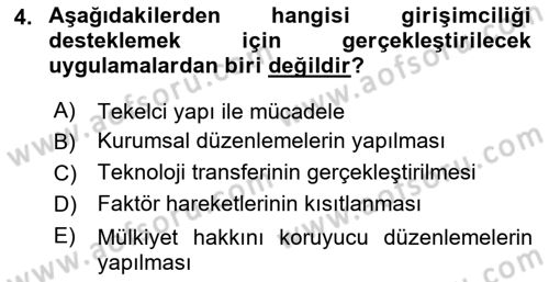 İktisadi Büyüme Dersi 2024 - 2025 Yılı Yaz Okulu Sınav Soruları 4. Soru