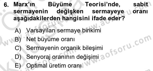 İktisadi Büyüme Dersi 2024 - 2025 Yılı Yaz Okulu Sınav Soruları 6. Soru