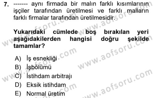 İktisadi Büyüme Dersi Yaz Okulu Sınavı Deneme Sınav Soruları 7. Soru