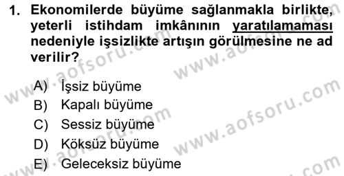 İktisadi Büyüme Dersi 2025 - 2026 Yılı (Vize) Ara Sınav Soruları 1. Soru