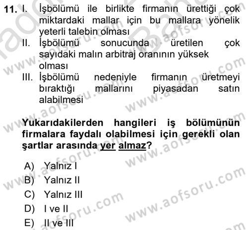 İktisadi Büyüme Dersi 2025 - 2026 Yılı (Vize) Ara Sınav Soruları 11. Soru