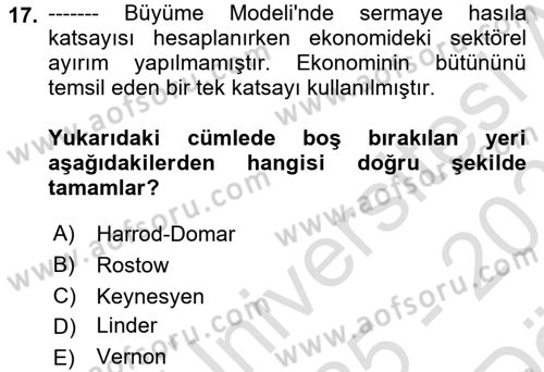 İktisadi Büyüme Dersi 2025 - 2026 Yılı (Vize) Ara Sınav Soruları 17. Soru