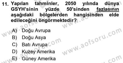 İktisadi Büyüme Dersi 2025 - 2026 Yılı (Final) Dönem Sonu Sınav Soruları 11. Soru