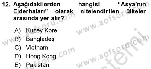 İktisadi Büyüme Dersi 2025 - 2026 Yılı (Final) Dönem Sonu Sınav Soruları 12. Soru