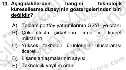 İktisadi Büyüme Dersi 2025 - 2026 Yılı (Final) Dönem Sonu Sınav Soruları 13. Soru