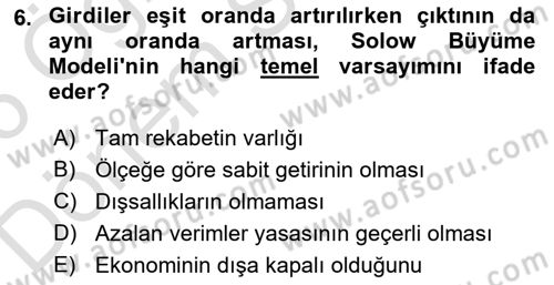 İktisadi Büyüme Dersi 2025 - 2026 Yılı (Final) Dönem Sonu Sınav Soruları 6. Soru