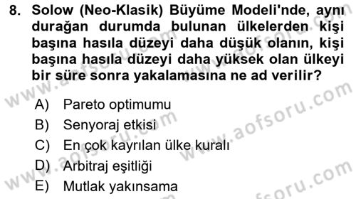 İktisadi Büyüme Dersi 2025 - 2026 Yılı (Final) Dönem Sonu Sınav Soruları 8. Soru