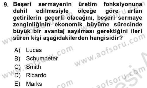 İktisadi Büyüme Dersi 2025 - 2026 Yılı (Final) Dönem Sonu Sınav Soruları 9. Soru