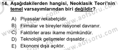 İktisadi Büyüme Dersi 2025 - 2026 Yılı Yaz Okulu Sınav Soruları 14. Soru