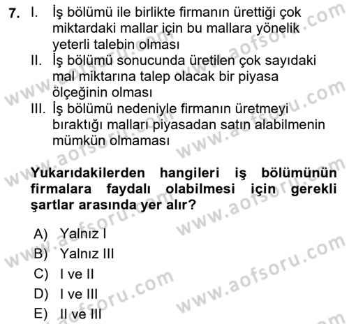 İktisadi Büyüme Dersi 2025 - 2026 Yılı Yaz Okulu Sınav Soruları 7. Soru