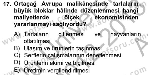 İktisat Tarihi Dersi 2012 - 2013 Yılı (Vize) Ara Sınav Soruları 17. Soru