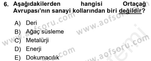 İktisat Tarihi Dersi 2015 - 2016 Yılı (Vize) Ara Sınav Soruları 6. Soru