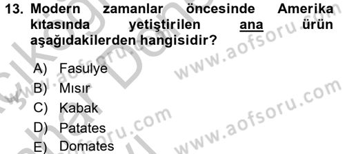 İktisat Tarihi Dersi 2016 - 2017 Yılı (Vize) Ara Sınav Soruları 13. Soru