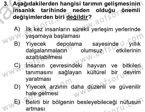 İktisat Tarihi Dersi 2016 - 2017 Yılı (Vize) Ara Sınav Soruları 3. Soru