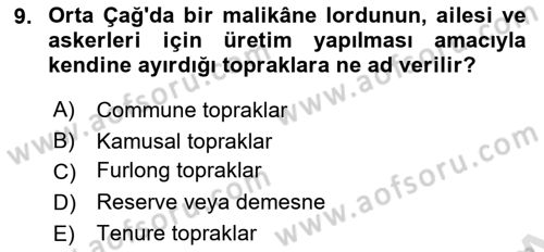 İktisat Tarihi Dersi 2024 - 2025 Yılı (Vize) Ara Sınav Soruları 9. Soru