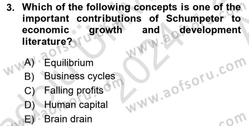 Economic Growth And Development Dersi 2024 - 2025 Yılı (Vize) Ara Sınav Soruları 3. Soru