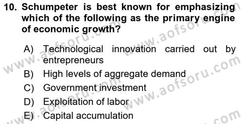 Economic Growth And Development Dersi 2025 - 2026 Yılı (Vize) Ara Sınav Soruları 10. Soru