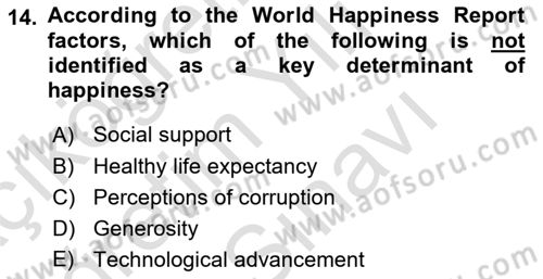 Economic Growth And Development Dersi 2025 - 2026 Yılı (Vize) Ara Sınav Soruları 14. Soru