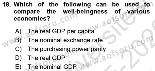 Economic Growth And Development Dersi 2025 - 2026 Yılı (Vize) Ara Sınav Soruları 18. Soru
