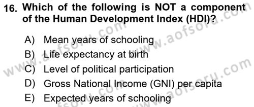 Economic Growth And Development Dersi 2025 - 2026 Yılı (Final) Dönem Sonu Sınav Soruları 16. Soru