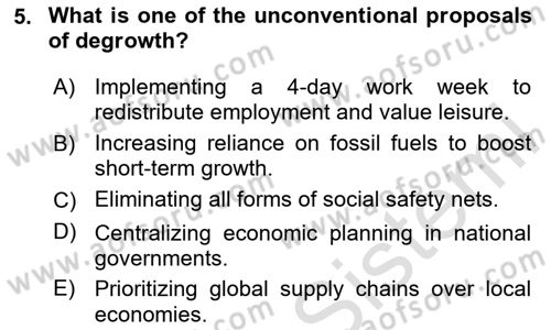 Economic Growth And Development Dersi 2025 - 2026 Yılı (Final) Dönem Sonu Sınav Soruları 5. Soru