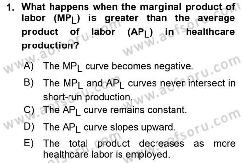 Health Economics Dersi 2024 - 2025 Yılı (Vize) Ara Sınav Soruları 1. Soru